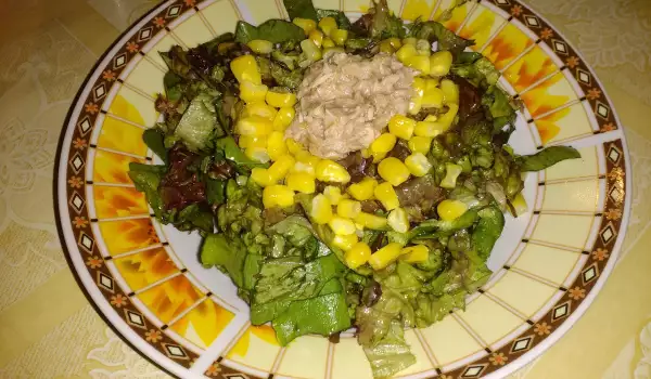 Salata od zelene salate i tunjevine