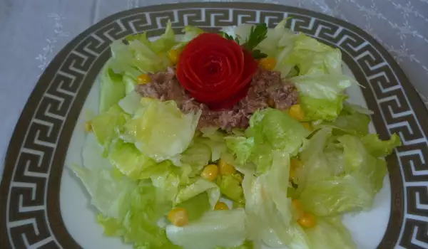 Brza salata sa tunjevinom