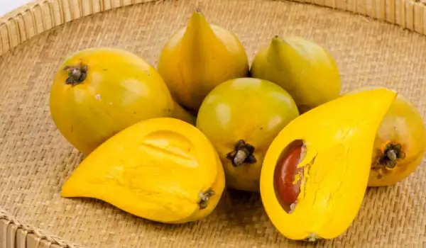 Voće sapote