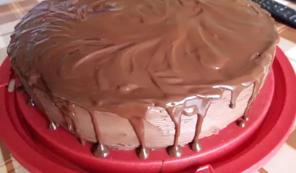 Čokoladna medena torta