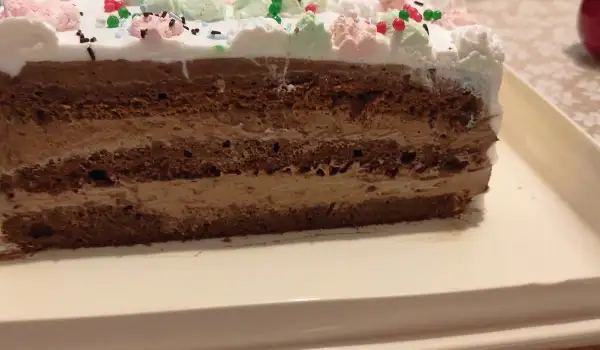 Čokoladna torta sa kremastim filom