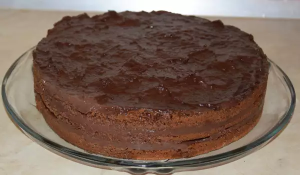 Čokoladna torta sa sitnim sirom