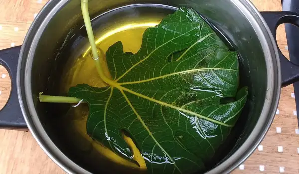 Sirup od smokvinih listova