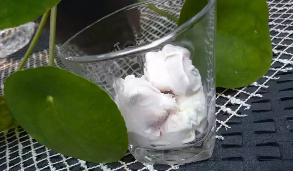 Sladoled sa kondenzovanim mlekom i jajima