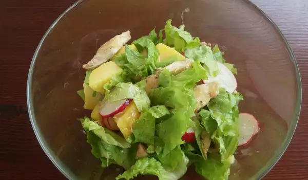 Mešana salata sa piletinom i zelenom salatom