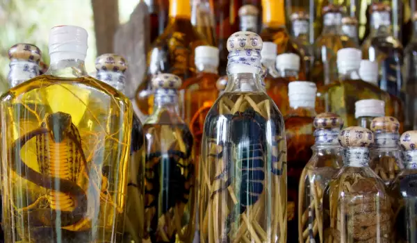 Vino od zmije