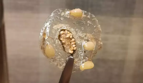 Stakleni čips od krompira
