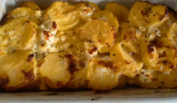 Ukusan gratin od krompira sa sirom