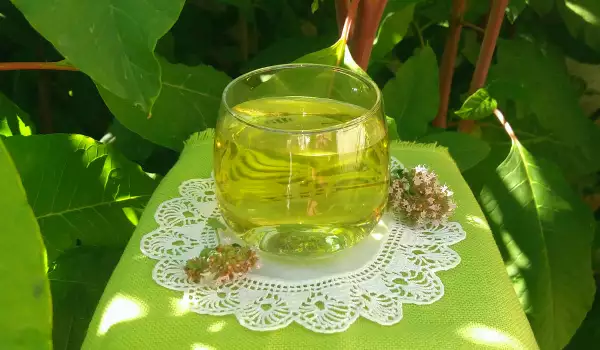Koristan hladan čaj od svežeg origana