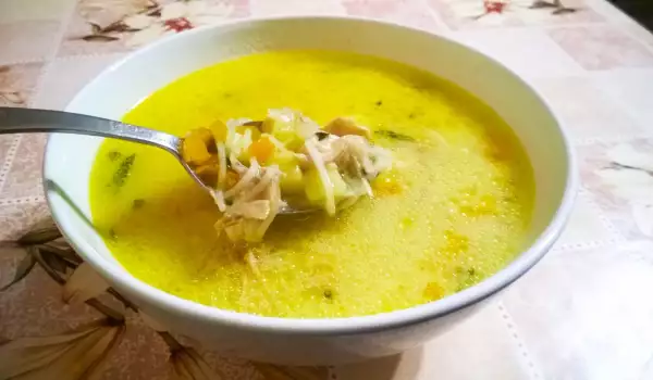 Pileća supa sa fidom i celerom