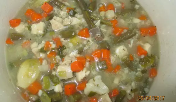 Supa od tolstolobika i povrća