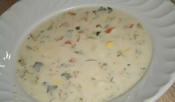 Bogata supa od povrća sa topljenim sirom