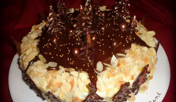 Zimska torta sa jelkicama od čokolade