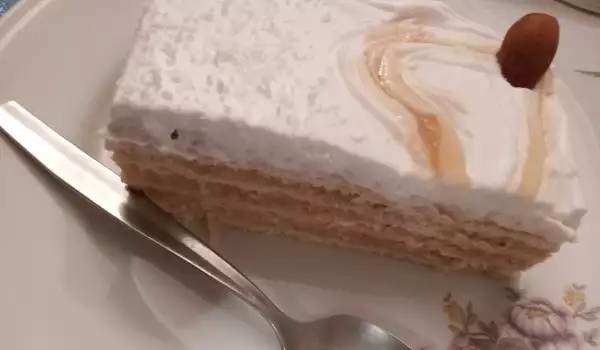 Medena torta sa plazmom i pudingom