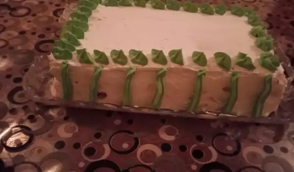 Jedna torta sa malinama