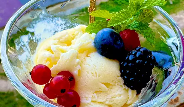Domaći sladoled od vanile sa ukusom prošlih vremena