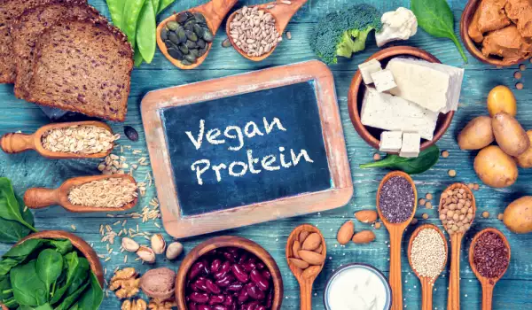 Koji su veganski izvori proteina?