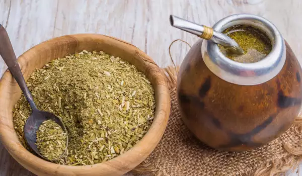 Koristi od Yerba Mate