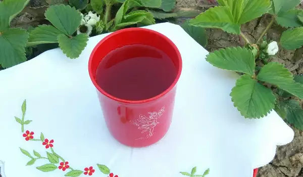 Čaj od listova jagode za balans soli u organizmu