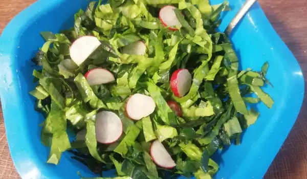 Zelena salata sa keljem i blitvom