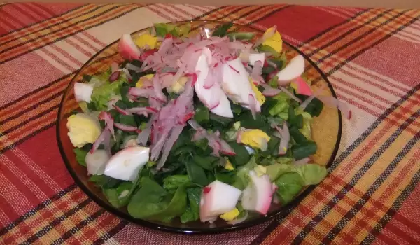 Zelena salata sa narendanim rotkvicama