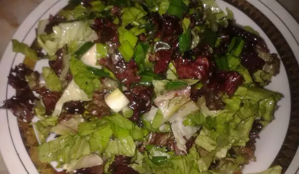 Zelena vitaminska salata