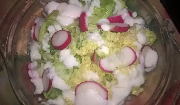 Zelena salata sa rotkvicama i kiselim mlekom