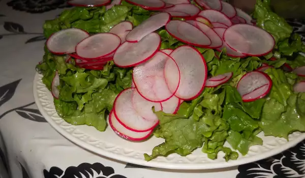 Moja zelena salata sa rotkvicama