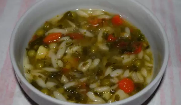 Supa od povrća sa orzo testeninom