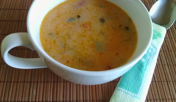 Vitaminska supa od povrća