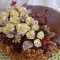 Torta sa orasima, dulce de leche-om i čokoladnom glazurom