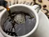 Preterujete sa kafom? Pogledajte koliko tačno kafe možete popiti dnevno