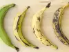 Zelena, žuta ili smeđa banana: Sa kojom zrelošću je najkorisnija?