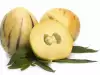 Pepino