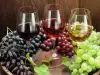 Koje biljke se stavljaju u vino?