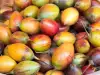 Tamarilo