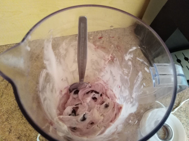 Domaći sladoled u blenderu