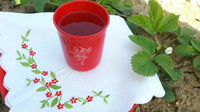 Čaj od listova jagode za balans soli u organizmu