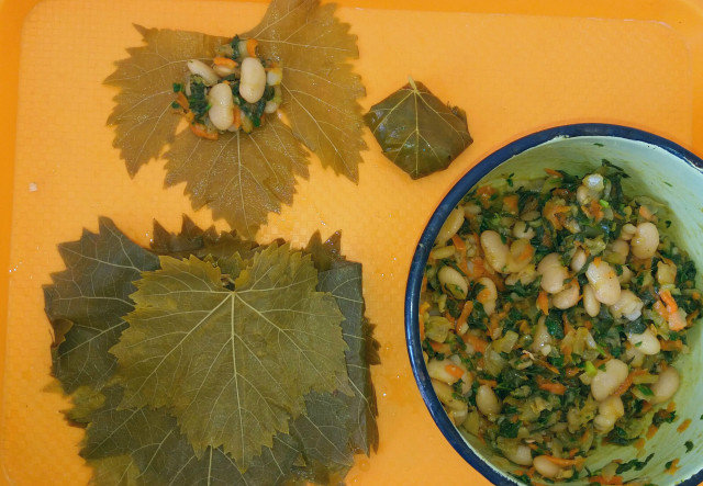 Vegan sarmice od listova vinove loze sa pasuljem i zeljem