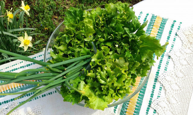 Zelena salata sa kiselim tikvicama