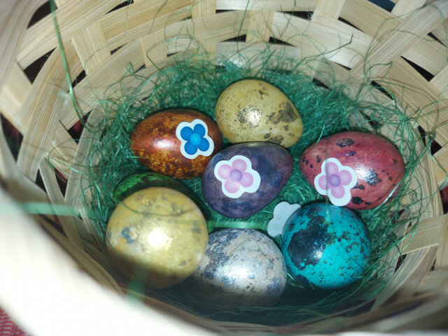 Šarena prepeličija jaja