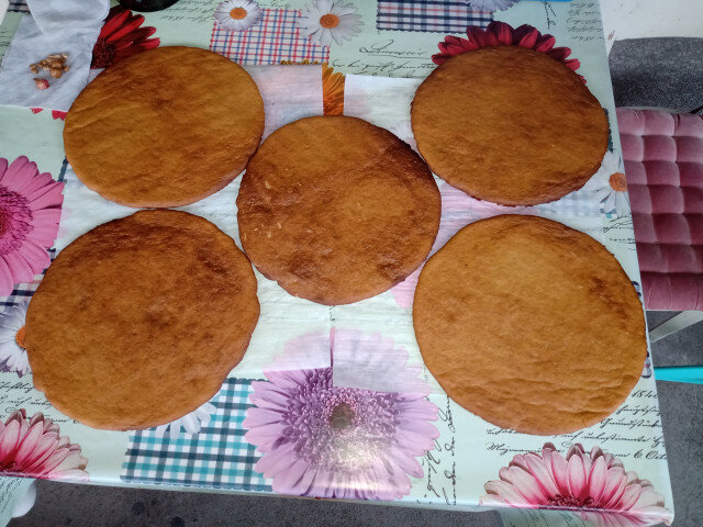 Francuska seoska torta sa borovnicama