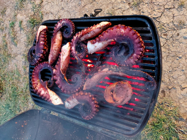 Marinirana hobotnica na roštilju