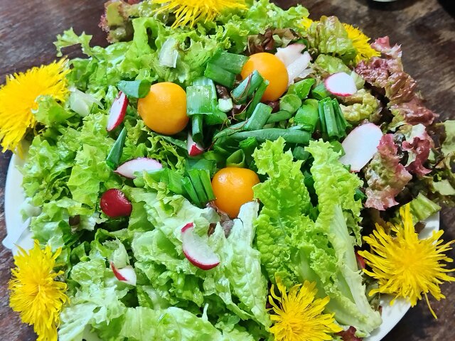 Šarena uskršnja salata sa peruanskom jagodom i šafranom