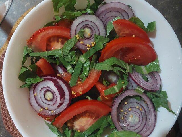 Letnja šarena salata